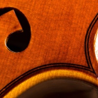 Beautifully varnished violin