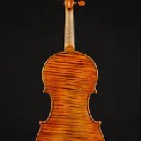 Violin by Sofia Vettori